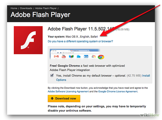 How to update flash plugin
